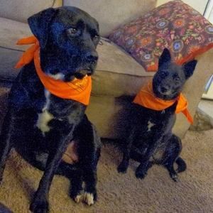 Meet your Posher, Jamee